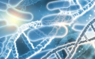 Father of Medicine – He must have had a crystal ball!