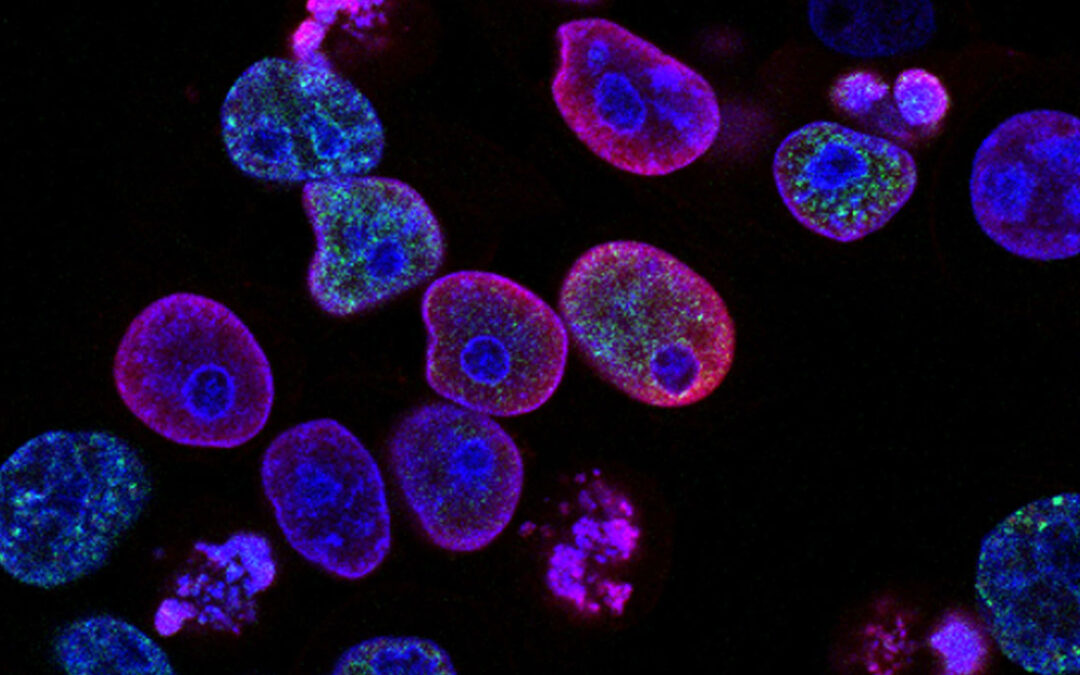 Epigenetics – An introduction to epigenetics and why it is the next health revolution…I kid you not!