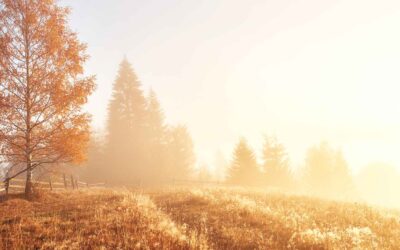 Locking down (or finding your new) circadian rhythm