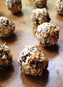 Easy No-Bake Protein Energy Bites