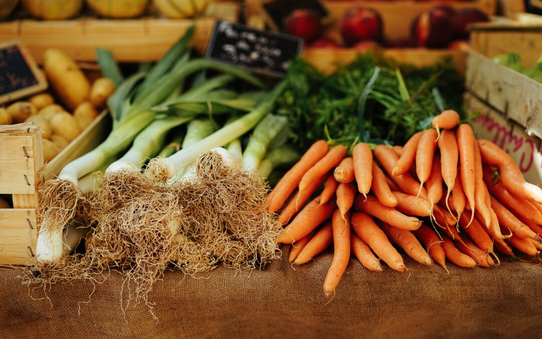 Why are plants so good for us?