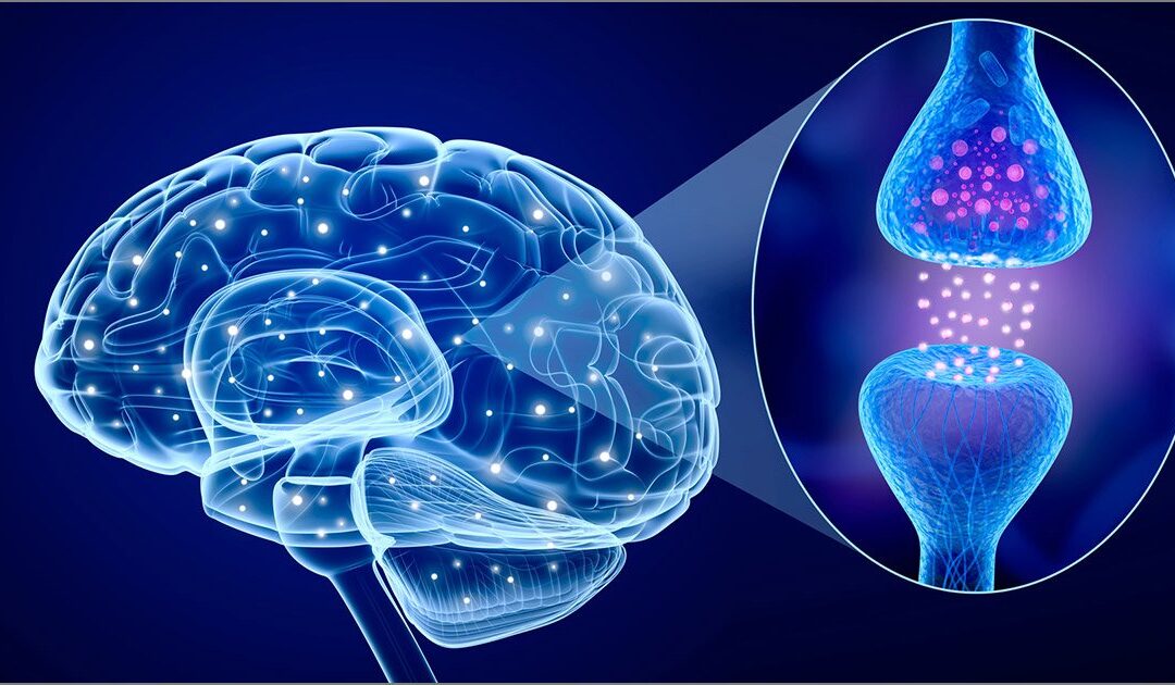The Neurochemicals of wellbeing, and how to get them!