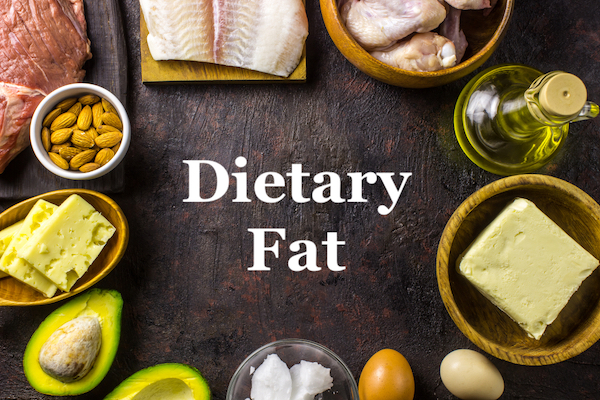 Fat Doesn’t Make You Fat – Why You Need Dietary Fat