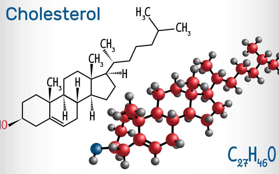 “My Cholesterol Went Up – But I’m Not Worried. Here’s Why.”