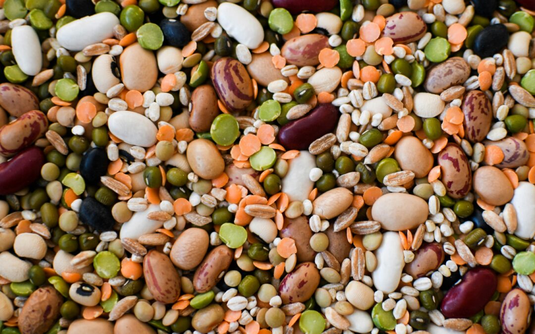 Protein Does Not Become Muscle Just Because You Ate It