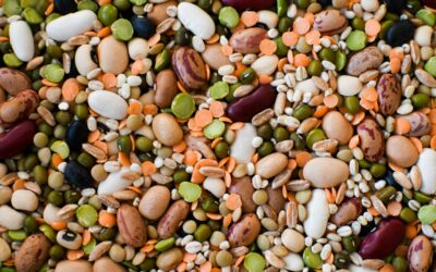 Protein Does Not Become Muscle Just Because You Ate It