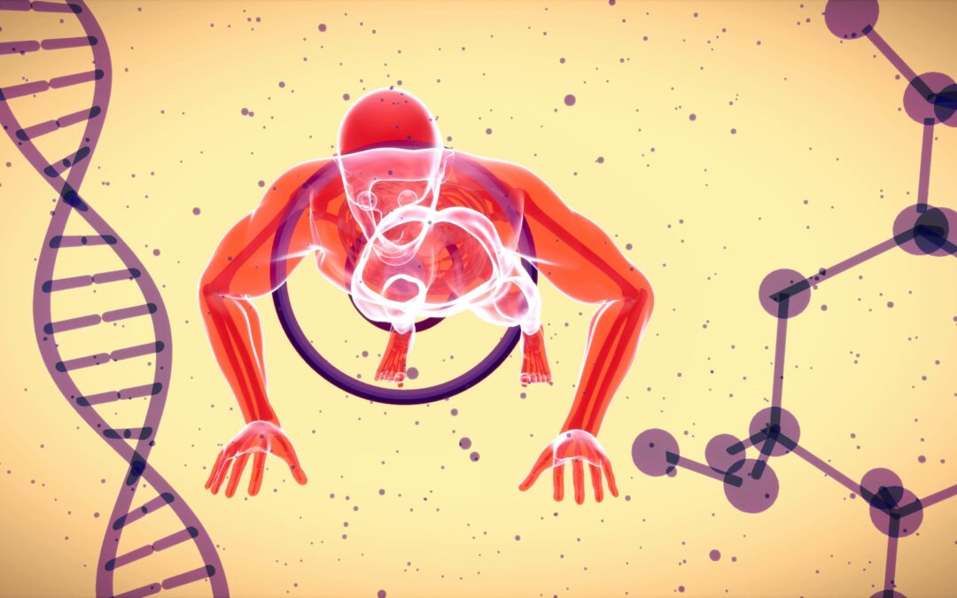 What Is Metabolism, Really? Understanding TEE and How to Actually Influence It