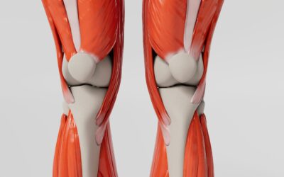 Exercise Won’t Wreck Your Joints, It Will Save Them